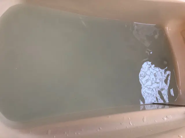 引っ越し前後は要注意！配管に雑菌が潜んでる！見えない雑菌＆汚れを完全除去サービスの画像