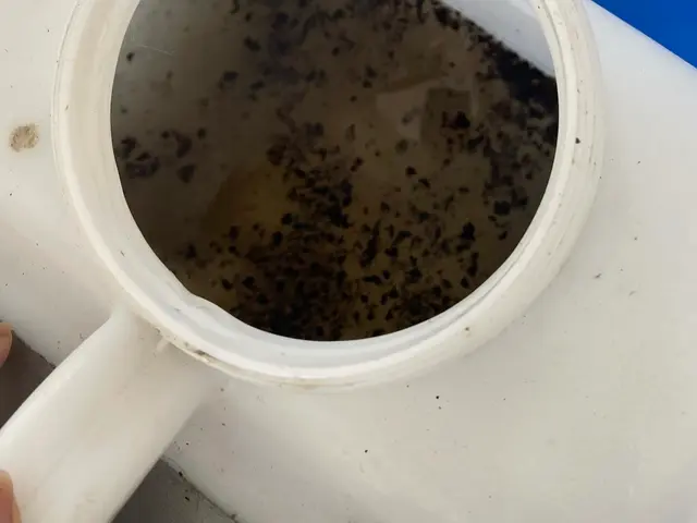 ★人気急上昇中★抗菌コート無料サービス！しっかりとした技術力と接客対応に自信ありサービスの画像