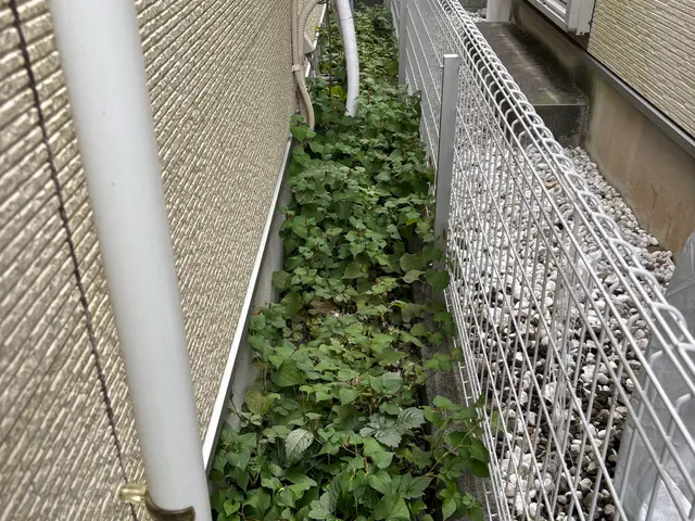 無理せずおまかせ！優しい草むしりサービス！時間がない方・腰がつらい方に！サービスの画像