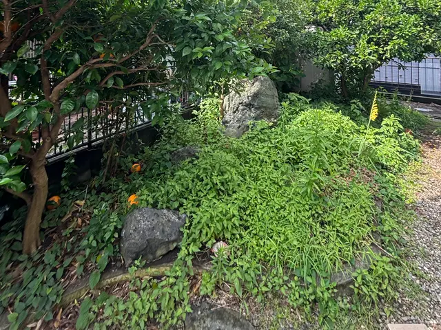 無理せずおまかせ！優しい草むしりサービス！時間がない方・腰がつらい方に！サービスの画像