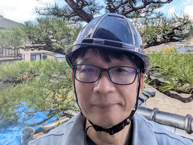 ★2級造園施工管理技士★落ち葉の片付けもお気軽にご相談くださいサービスの画像