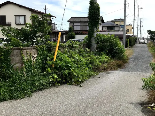 グリーンエレガンスケアサービスの画像