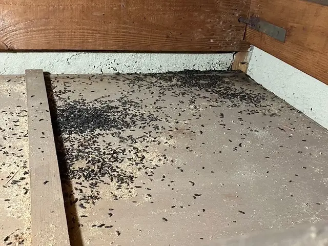 ★業界17年以上の経験者施工★●安心の5年保証●クレジットカード払いOK●サービスの画像