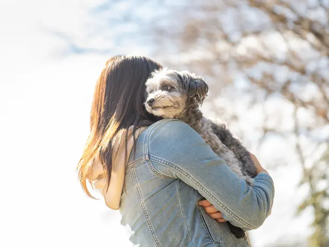 終のお別れを温かく支える、全て自社スタッフによる出張ペット火葬サービスの画像