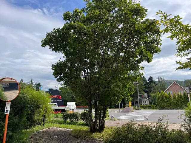 クレジットカード支払い対応◎営業時間外も対応可能◎丁寧に仕上げますサービスの画像