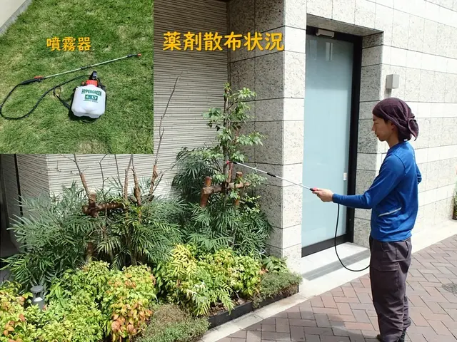 ◎10年の実績◎造園技能士◎損害保険加入◎継続して選ばれる仕事をご提供サービスの画像
