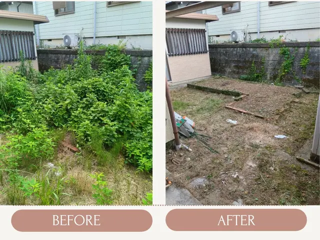 【10月末まで値下げ】手作業での草むしりサービスの画像