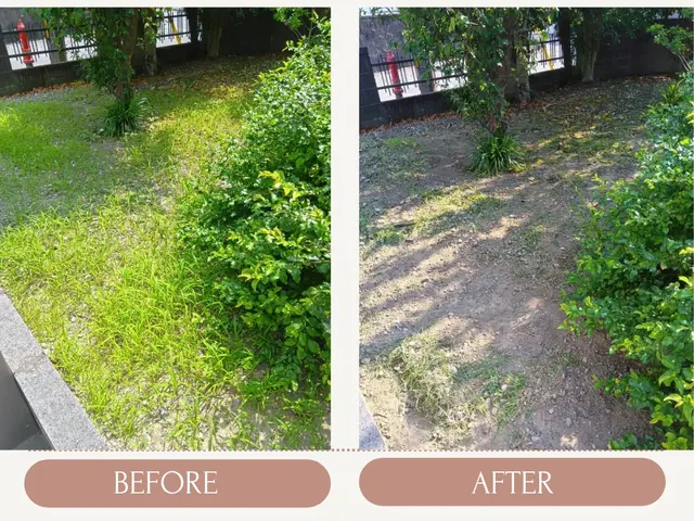 【10月末まで値下げ】手作業での草むしりサービスの画像