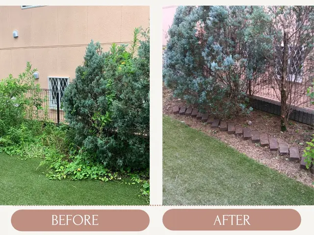 【10月末まで値下げ】手作業での草むしりサービスの画像