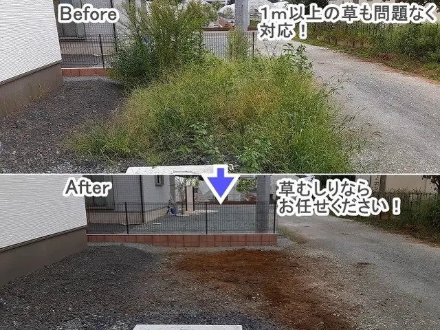 ★年内に草をキレイに！【３連続入賞店★口コミ好評】◆高崎の植木屋★ご予約お早めにサービスの画像