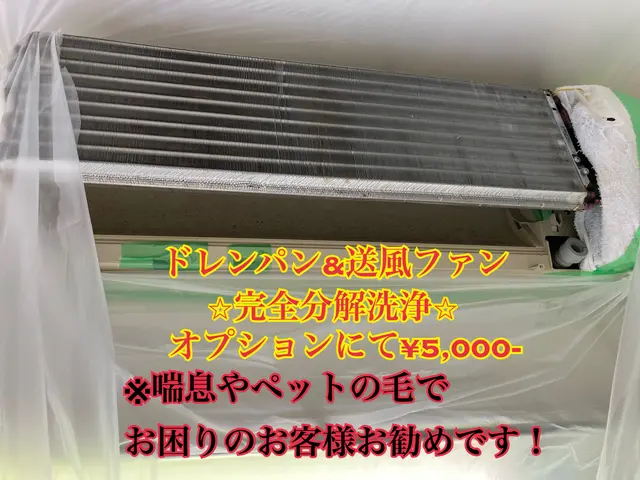 ☆夏本番！遅くはありません☆2台予約で1台8000円！漂白剤ベース洗剤で除カビ！サービスの画像