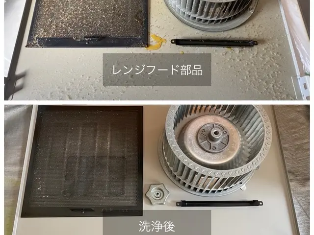 【新規出店】（特別価格で提供中）自宅で簡単に出来るプロの技術を全てお教えします！サービスの画像