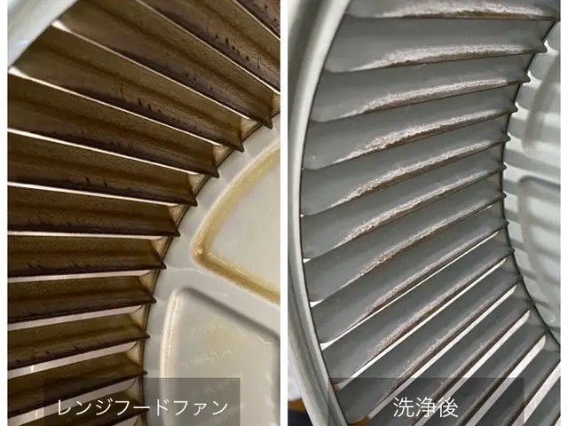 【新規出店】（特別価格で提供中）自宅で簡単に出来るプロの技術を全てお教えします！サービスの画像