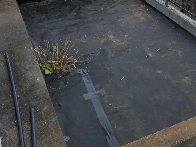 お助け致します！【安心の法人運営】【返信迅速！笑顔】【SDGs徹底！】サービスの画像