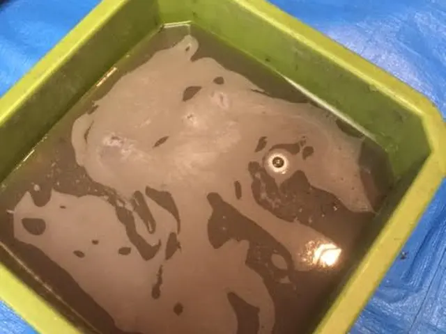 7/18～予約（土日可）作業可能！布張り家具の再生クリーニング！サービスの画像