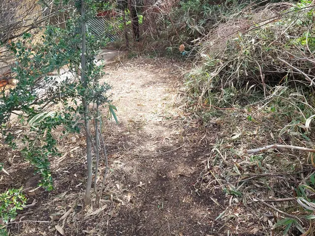 松本市・塩尻市・安曇野市・中信地区・草刈り。2名作業・有資格者・損害保険加入済サービスの画像