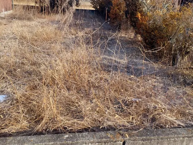 松本市・塩尻市・安曇野市・中信地区・草刈り。2名作業・有資格者・損害保険加入済サービスの画像