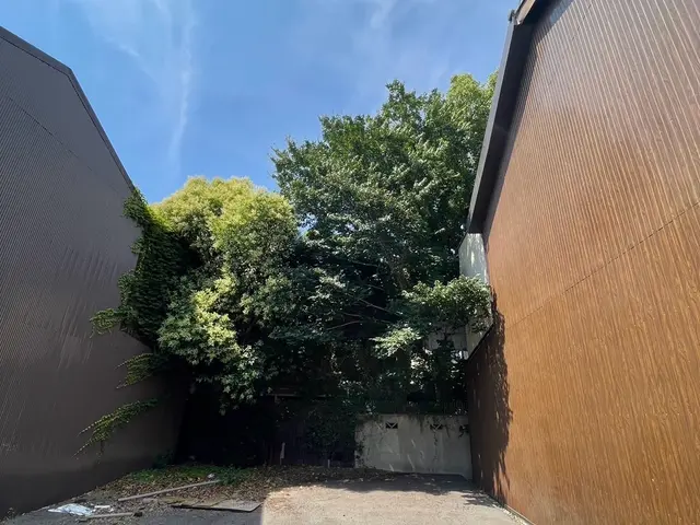 邪魔な木伐採！庭終い！スッキリお庭！20年の経験◎個人キャンプや山林開拓もOKサービスの画像