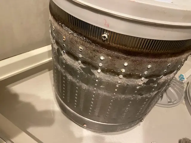 洗濯機の解体洗浄サービスの画像