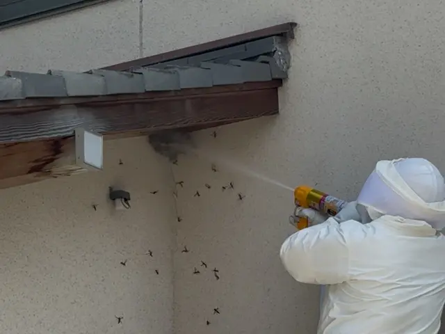 ハチの駆除サービスの画像