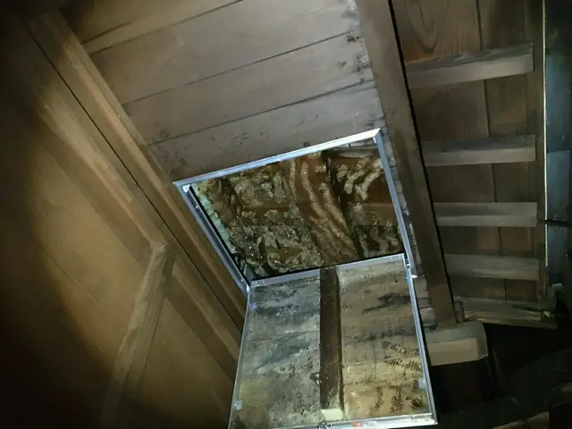 アシナガバチ8800円〜24時間現場急行致します！お気軽にお問い合わせくださいサービスの画像