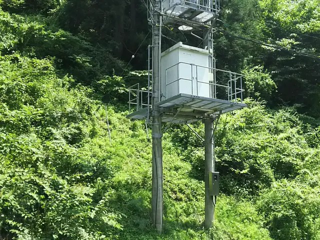 アシナガバチ8800円〜24時間現場急行致します！お気軽にお問い合わせくださいサービスの画像