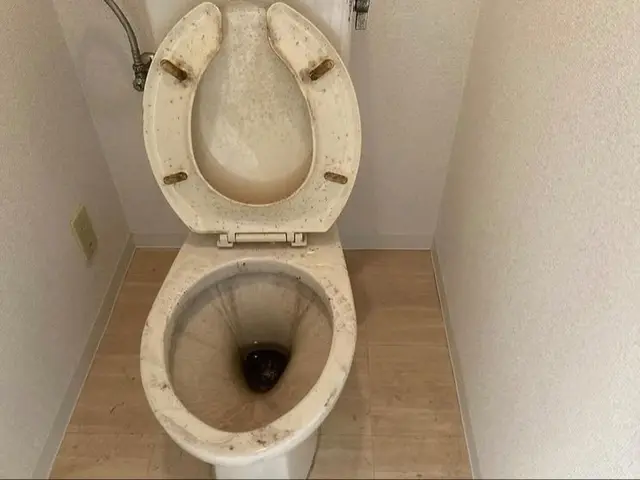 【空室清掃】12月予約受付中！大手経験有り◉非喫煙者が対応◉サービスの画像