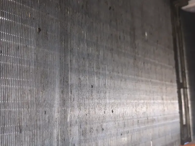 ★植物性除菌洗剤★複数台割引★駐車場代0円★各種クレカ、PayPay可★サービスの画像