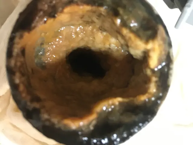 【国家資格保有】飲食店、オフィスその他症状に応じて丁寧に対応します！サービスの画像