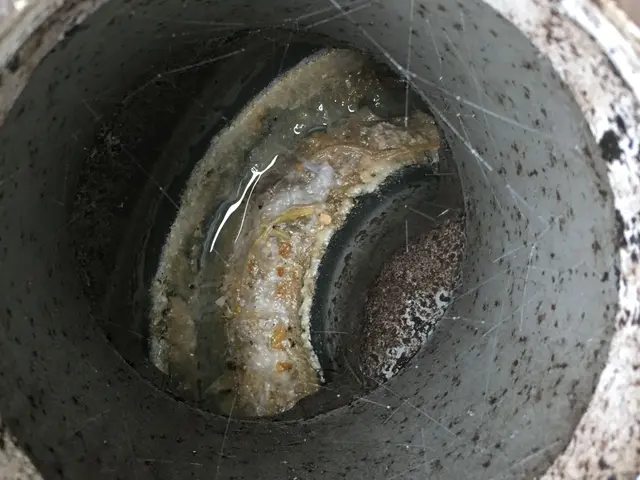 【国家資格保有】飲食店、オフィスその他症状に応じて丁寧に対応します！サービスの画像