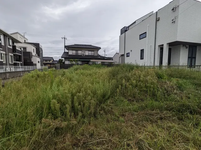 【草刈りはプロにお任せ下さい】サービスの画像