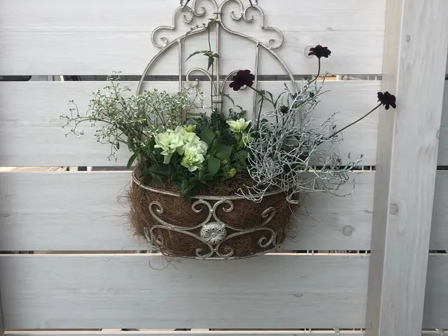 【業歴25年】庭木のスタイリング！緑あるくらしのお手伝い♪〈枝葉回収込み価格〉サービスの画像