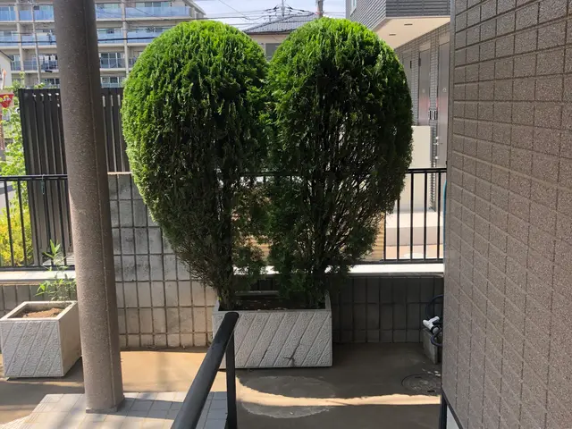 【業歴25年】庭木のスタイリング！緑あるくらしのお手伝い♪〈枝葉回収込み価格〉サービスの画像