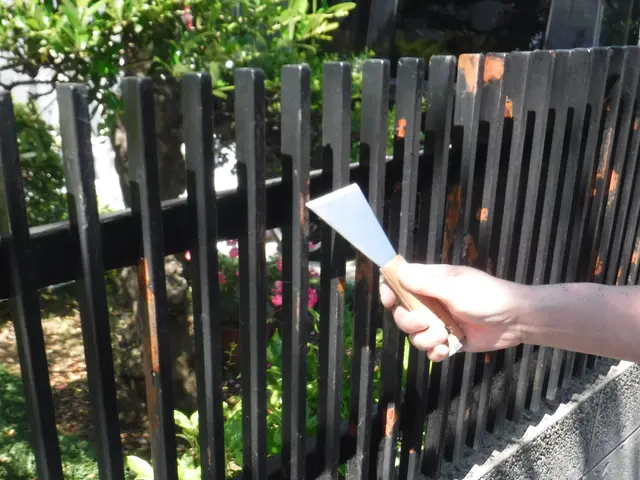 門扉塗装！ 表玄関を綺麗に着飾りませんか？サービスの画像