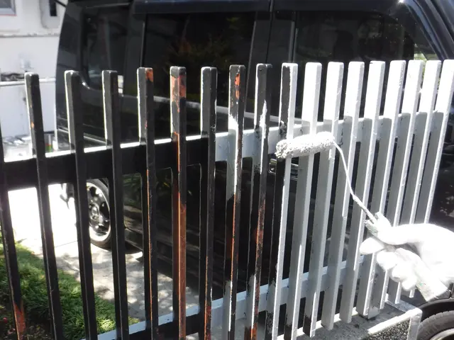 門扉塗装！ 表玄関を綺麗に着飾りませんか？サービスの画像