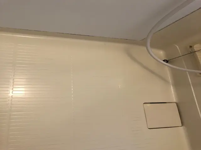 【健康を作るハウスクリーニング】綺麗好き店長が清潔な環境を守ります！サービスの画像