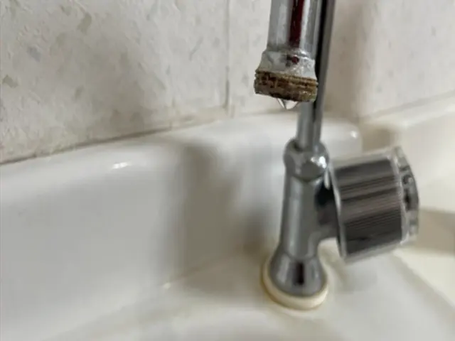 【健康を作るハウスクリーニング】綺麗好き店長が清潔な環境を守ります！サービスの画像