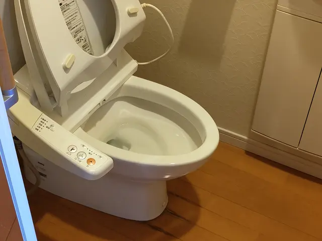 プロが行うトイレクリーニングを体験されませんか？サービスの画像