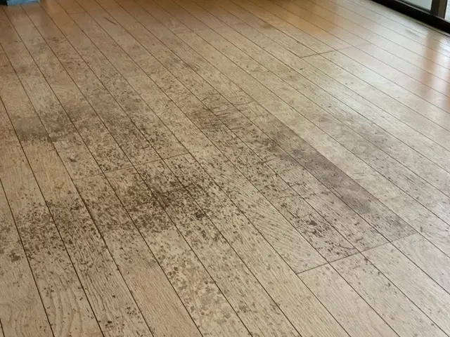 接客歴20年のプロが自社スタッフのみで安心施工！損害保険完備で確実な技術をお届けサービスの画像