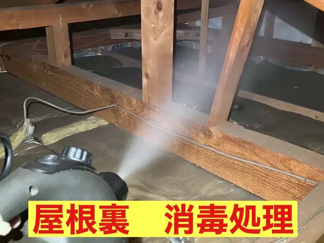 害虫駆除の専門家！害獣害虫駆除王だから安心して依頼できるネズミ駆除！サービスの画像