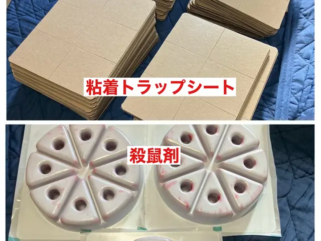 害虫駆除の専門家！害獣害虫駆除王だから安心して依頼できるネズミ駆除！サービスの画像