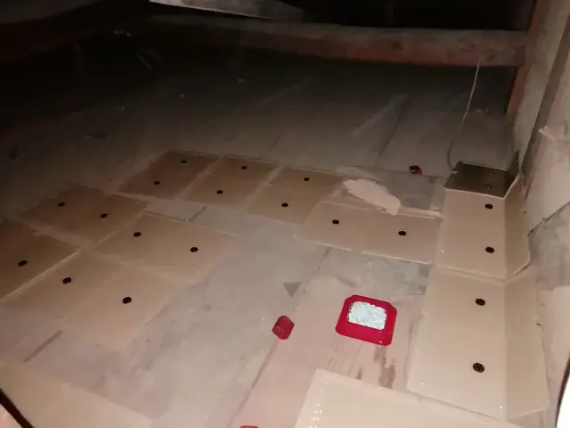 駆除の専門家である駆除王のネズミ駆除！相見積歓迎！施工技術・費用に自信あり！サービスの画像