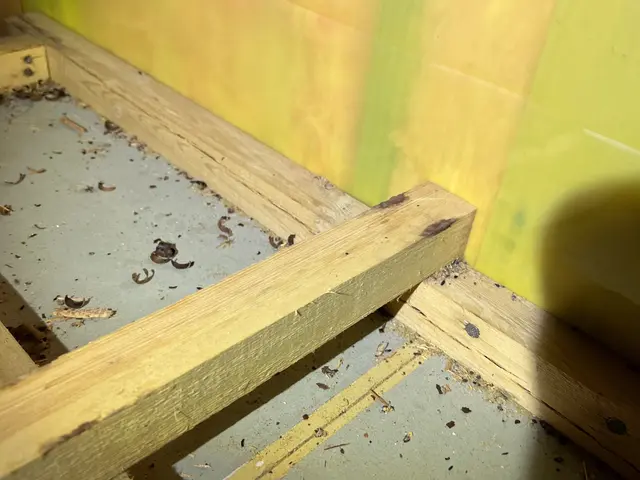 駆除の専門家である駆除王のネズミ駆除！相見積歓迎！施工技術・費用に自信あり！サービスの画像