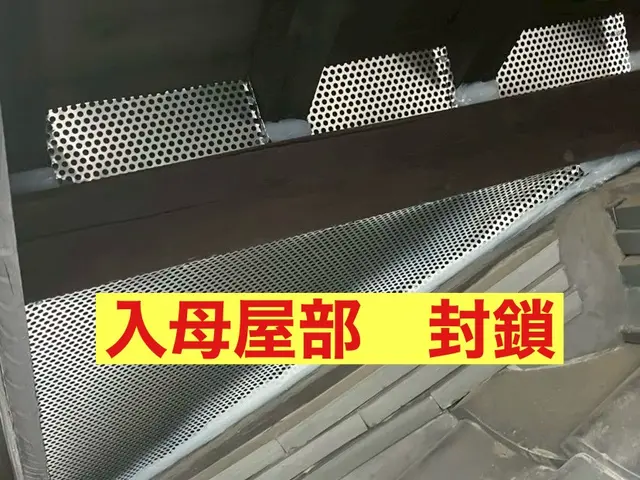 害虫駆除の専門家！害獣害虫駆除王だから安心して依頼できるネズミ駆除！サービスの画像