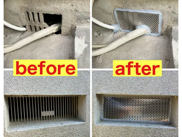 害虫駆除の専門家！害獣害虫駆除王だから安心して依頼できるネズミ駆除！サービスの画像