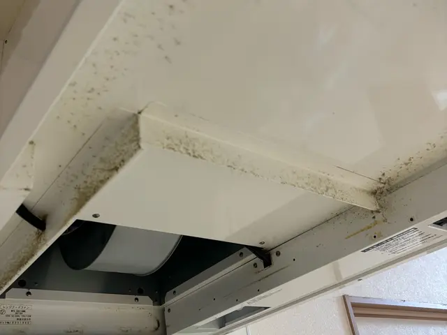 【口コミで選ばれています】頑固な油汚れお任せください♪コンロ周りの壁もサービス！サービスの画像