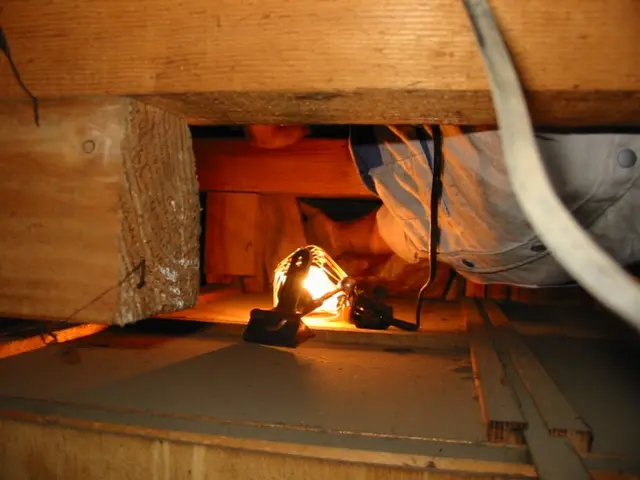 住宅のインスペクション（既存住宅状況調査）ぜひ当店にお任せくださいサービスの画像