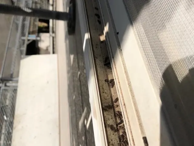 コウモリ駆除◎完全自社施工◎見積り後の追加料金一切なし◎サービスの画像