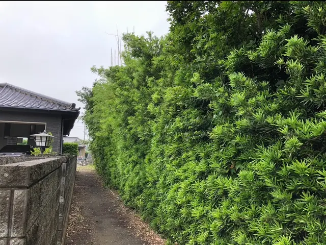 K styelでは「造園の専門家」がお客様のパートナーとして尽力いたします。サービスの画像