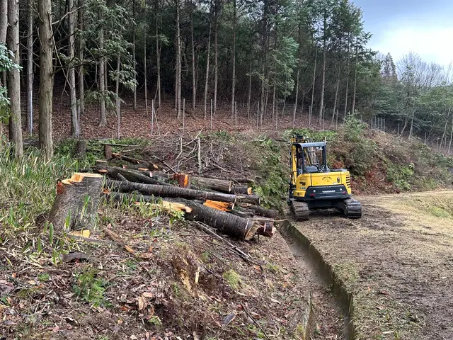 倒せない木も対応。難所・特殊伐採も安心して任せられる職人です。サービスの画像